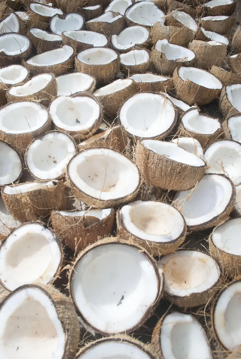 the complete guide to coconut oil for hair growth
